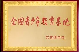 宣传片